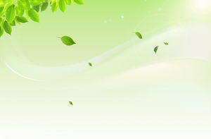 Two yellow and green beautiful leaves PPT background pictures