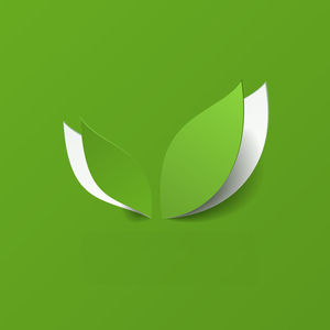 緑の微視的花葉モデルPPT背景画像のセット