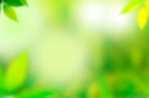 Nada hijau kuning kabur gambar latar belakang PPT tanaman