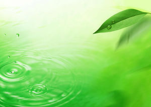 Green leaf water drops wave PPT background picture