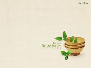 Green plant PPT background picture in the flower pot