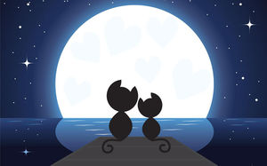 Gambar latar belakang PPT dari dua anak kucing di bawah sinar bulan