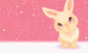 Image de fond rose mignon lapin PPT