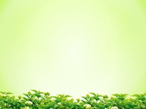Elegant green background leaves green leaf slide background pictures download PowerPoint Templates Free Download Elegant green background leaves green leaf slide background pictures download PowerPoint Templates Free Download