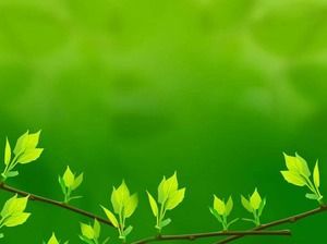 Pobieranie świeżych zielonych liści PowerPoint tło obrazu