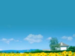 Fresh misty background natural landscape PPT background template