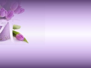 一组紫色郁金香PPT背景图片下载