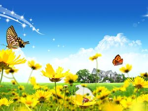 Butterfly ladybug wild chrysanthemum PPT background picture