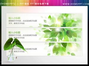 5 materiales de cuadro de texto PPT decorados con hojas verdes frescas