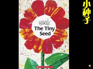 "Little Seed" Bilderbuch Geschichte PPT