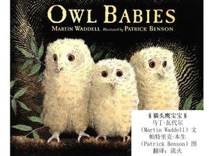"Owl Baby" Bilderbuch Geschichte PPT