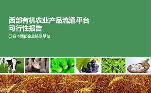 Descarga de PPT del informe de análisis de la plataforma de circulación de productos agrícolas