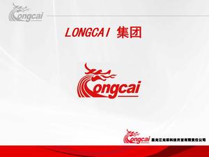 Download do modelo de PPT do perfil da empresa do grupo Heilongjiang Longcai