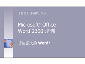 Concise Word2030 training PPT template