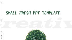 Succulent simple small fresh atmosphere European and American style ppt template