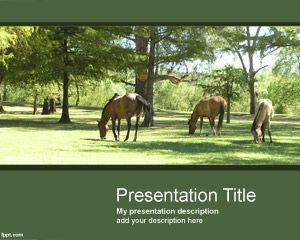 Template PowerPoint cavalos