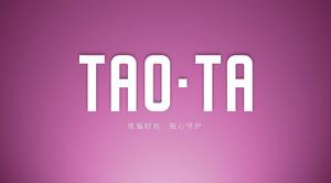 Simple, stylish and atmospheric TAOTA product launch ppt template