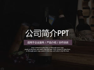 하이 엔드 플랫 심플 스타일 와인 회사 소개 및 제품 시음 활동 홍보 PPT 템플릿