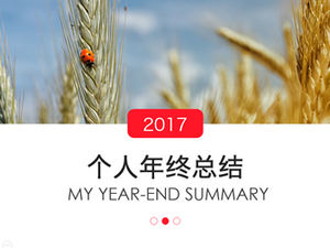 Modèle de ppt de plan de nouvel an résumé de fin d'année personnel