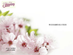 Peach blossom pink simple thanksgiving mothers day ppt template
