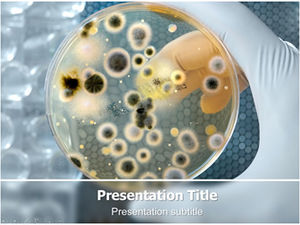 Analisis laboratorium bakteri-template ppt penelitian biomedis