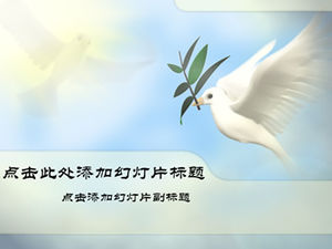 평화와 발전의 평화 비둘기 PPT 템플릿 상징