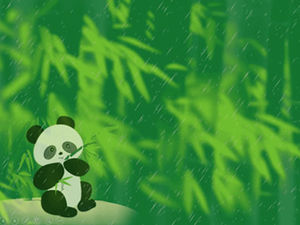 Панда ест весенние побеги бамбука после шаблона п.п. дождь-панда