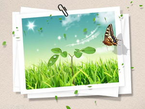 Blank photo album photo frame style ppt template