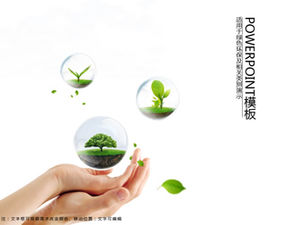 关爱环境，关爱地球-绿色，简洁，小巧，新鲜的ppt模板