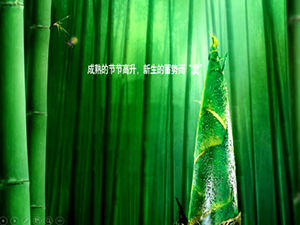 Fresco brotes de bambú plantilla ppt bosque de bambú