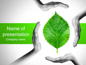 Caring for the green leaves and jointly protecting the environment and public welfare ppt template