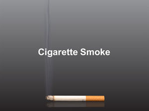 เลิกสูบบุหรี่แม่แบบ ppt สวัสดิการสาธารณะ