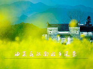 Perkosaan bunga Jiangnan pemandangan kota air template ppt