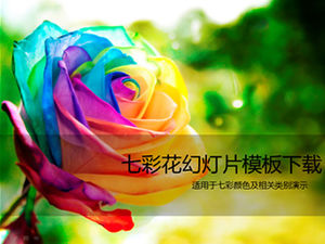 Colorful roses beautiful ppt template