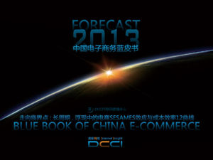 Forecast2013 China E-Commerce Blue Book-DCCI Kurzausgabe