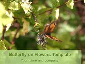 Mariposa recogiendo flores natural ppt template.ppt