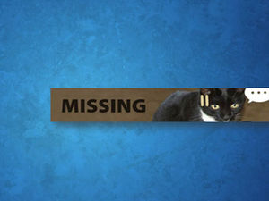Cute cat hunting announcement dynamic ppt template