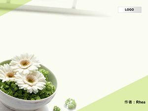Plantilla de fondo verde elegante Jingyi