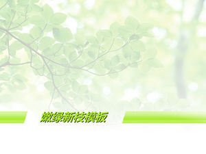Hijau segar cabang baru template latar belakang PPT hijau elegan