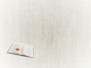 Libro conciso, patrón de tela de lino elegante fondo plantilla ppt