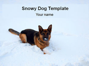 Kar ppt şablonunda kurt köpeği