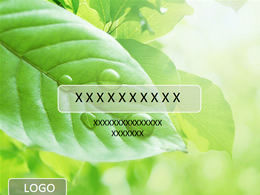 Latar belakang titik embun daun hijau menyegarkan template ppt alami