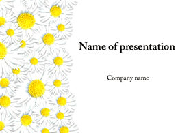 Beautiful petals background ppt template