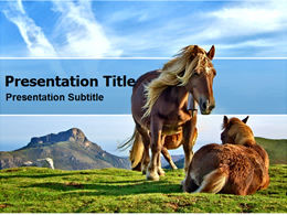 Horse on the grassland ppt template