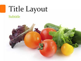 蔬菜簡潔ppt模板