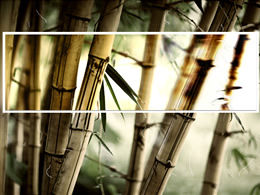 Шаблон Bamboo Fun-Natural Landscape