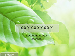 HD 어린 잎 녹색 상쾌한 자연 PPT 템플릿