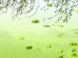 Template ppt musim semi willow hijau