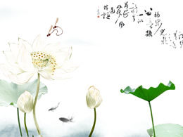 Lotus-Chinese style ppt template