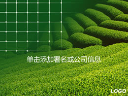 绿茶山自然景观ppt模板